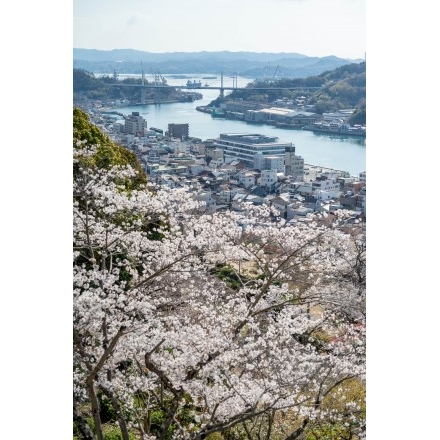 千光寺参道から見る桜越しの尾道市街地
