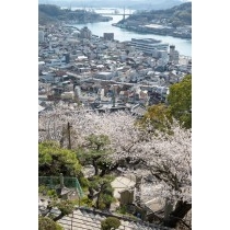 千光寺参道から見る桜越しの尾道市街地