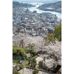 千光寺参道から見る桜越しの尾道市街地