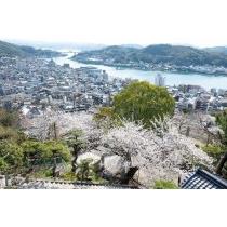 千光寺参道から見る桜越しの尾道市街地