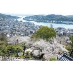 千光寺参道から見る桜越しの尾道市街地