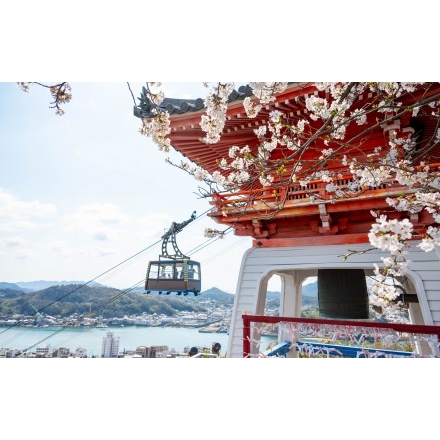 桜と千光寺鐘楼