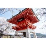 桜と千光寺鐘楼