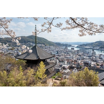 桜越しに見る天寧寺三重塔