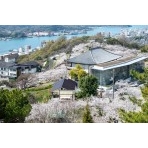 頂上展望台から見る桜満開の千光寺公園
