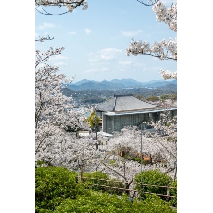 桜越しに見る尾道市立美術館