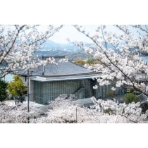 桜越しに見る尾道市立美術館