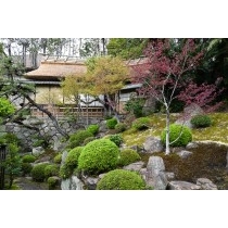 浄土寺の茶室・露滴庵