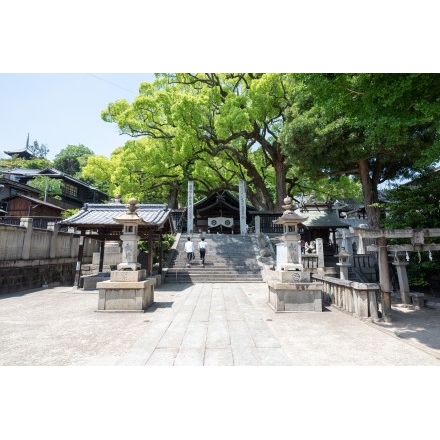 新緑の艮神社