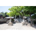 新緑の艮神社
