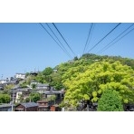 千光寺山ロープウェイ山麓駅から見る風景