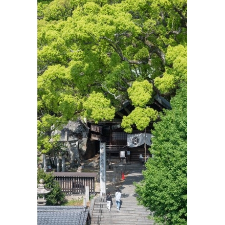 千光寺山ロープウェイ山麓駅から見る艮神社