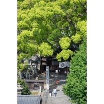 千光寺山ロープウェイ山麓駅から見る艮神社