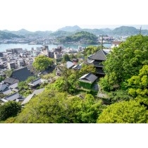 千光寺山ロープウェイ車窓からの風景