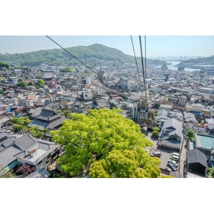 No.7694 千光寺山ロープウェイ車窓から見る尾道市街地
