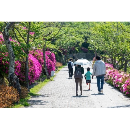 ツツジが咲く千光寺公園