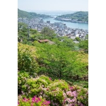 千光寺公園の新緑越しに見る尾道市街地