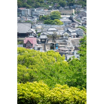 新緑の街並みを行くロープウェイ