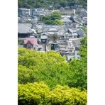 新緑の街並みを行くロープウェイ