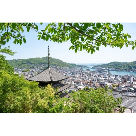 新緑越しの天寧寺三重塔
