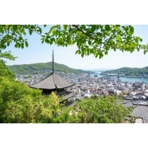 新緑越しの天寧寺三重塔