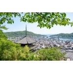 新緑越しの天寧寺三重塔
