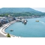 夏の瀬戸田港