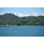 生口島から見る夏風景