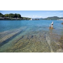 亀の首地蔵
