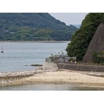 【空撮】しまなみ海道サイクリング