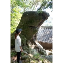 冠天神のご神体