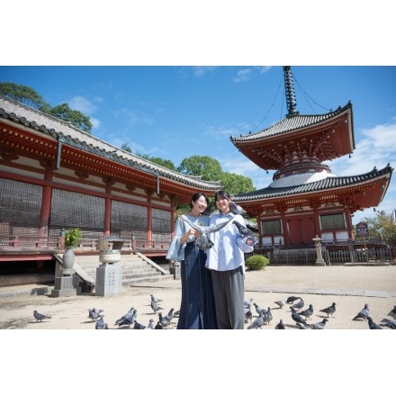 浄土寺を参拝する観光客のイメージ