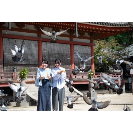 浄土寺を参拝する観光客のイメージ