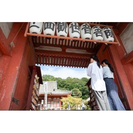 浄土寺を参拝する観光客のイメージ
