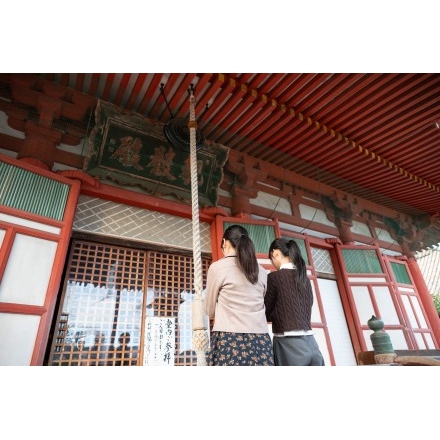 浄土寺を参拝する観光客のイメージ