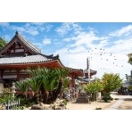 浄土寺境内