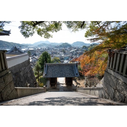 御袖天満宮境内から見る風景