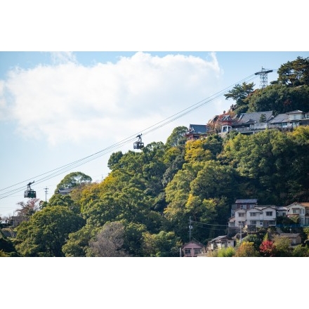 大山寺から見る千光寺山一帯の風景