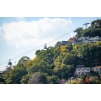 大山寺から見る千光寺山一帯の風景