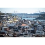 大山寺付近から眺める冬の街並み