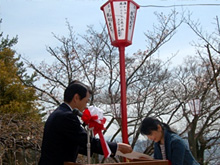 千光寺の桜