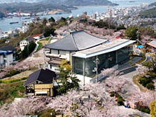 千光寺の桜