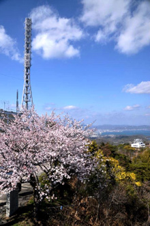 瀬戸内海国立公園 高見山