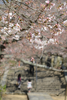 西國寺