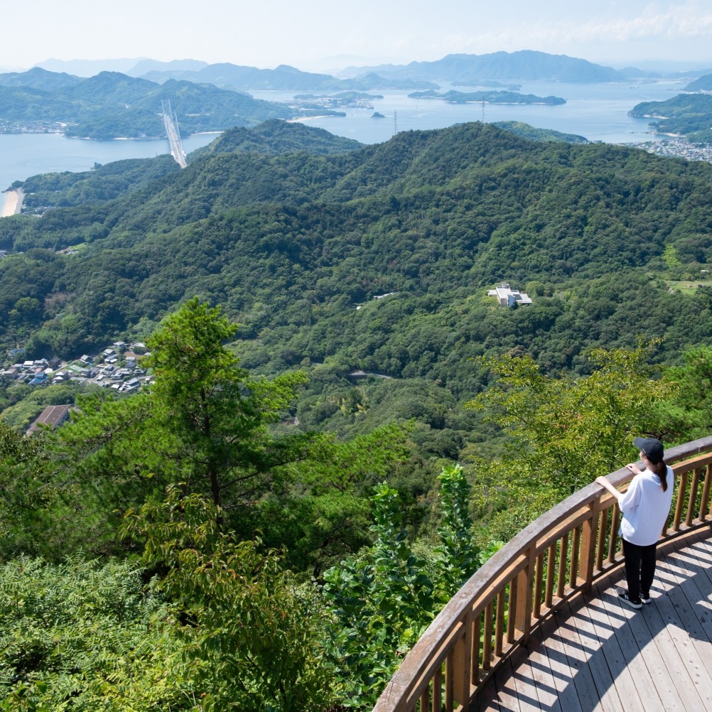 〔向島〕高見山