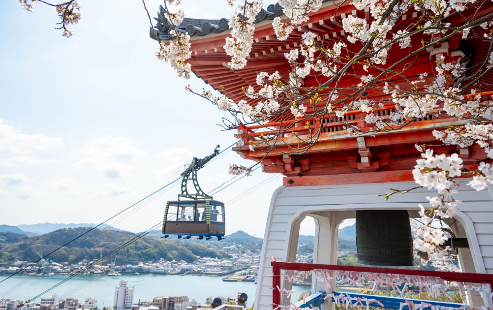 【お花見情報】千光寺山ロープウェイが延長運行されます