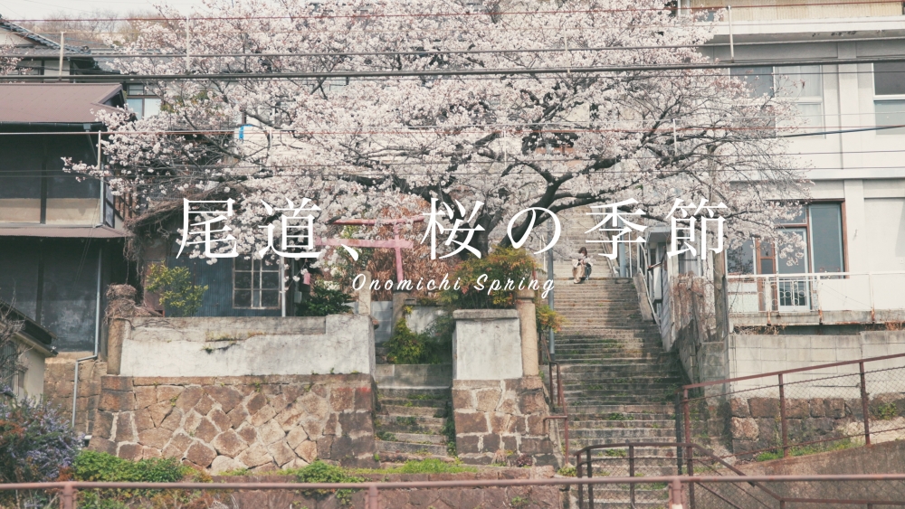 YouTube更新しました!