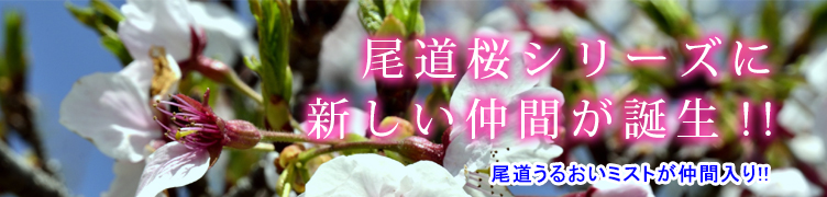 尾道桜のハンドクリーム