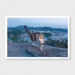 ポンポン岩とネコ　‐post card‐