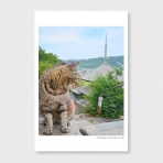 ネコの似合うまちかど　‐post card‐